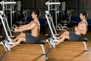 Exercise 1 Lats - Seated Cable Rows