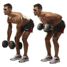 Exercise 3 Lats - Bent over Two Dumbbell Row with Palms In