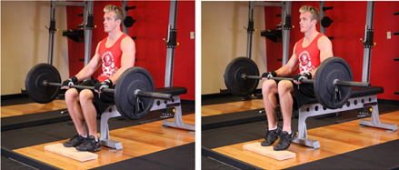 calf exercise 2 - Barbell Seated Calf Raise