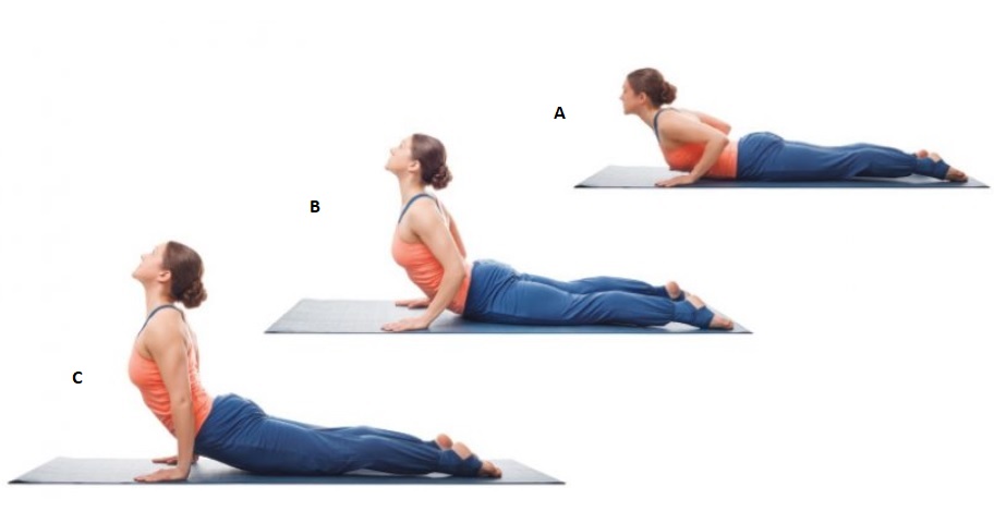 Cobra Pose - women