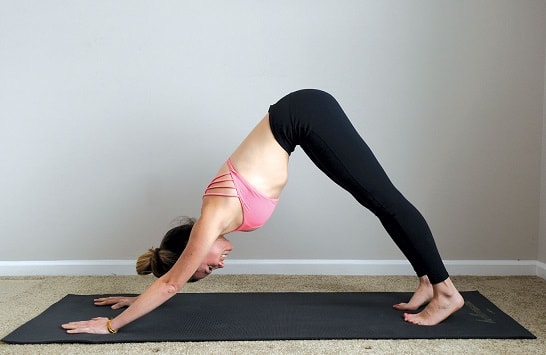 Downward Facing Dog Stretch