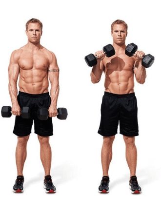 forearm workouts with dumbbells