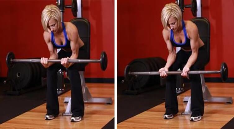 Forearms Women 2 - Seated Barbell