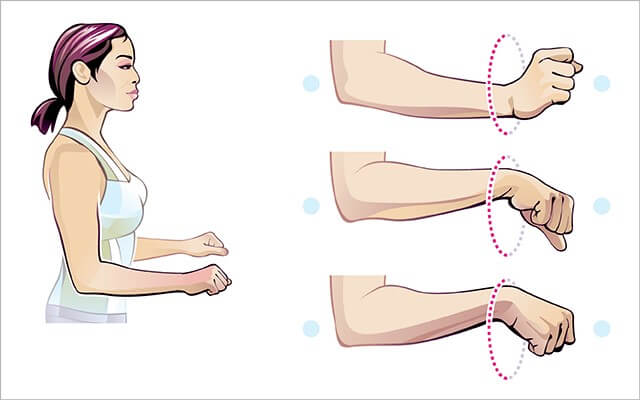 Forearms Women 5 - Wrist Circles