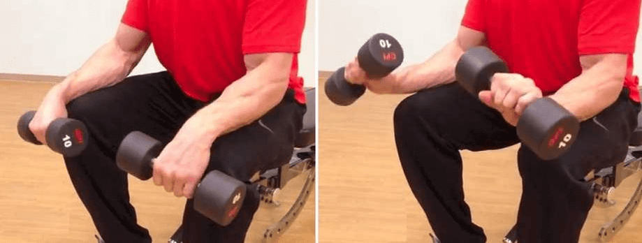 Dumbbell Wrist Extension Forearms workout 7