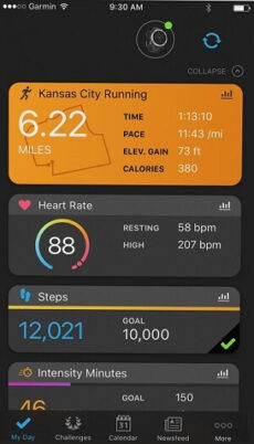 vivoactive 3 activity tracking