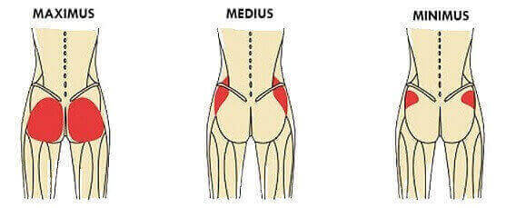 what is the gluteus medius stretch called