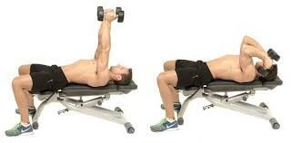 Lying Triceps Extension Dumbbell