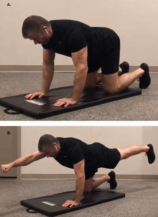 lower back workouts for men