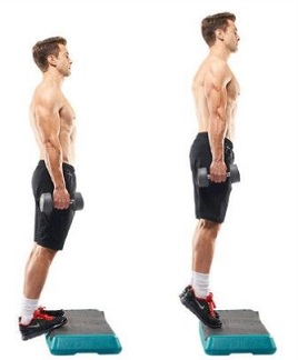 Standing calf raise with Dumbbells on elevated surface