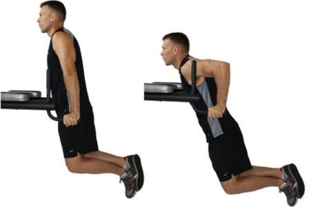 Straight-Arm Dips for building Traps-Exercise 3