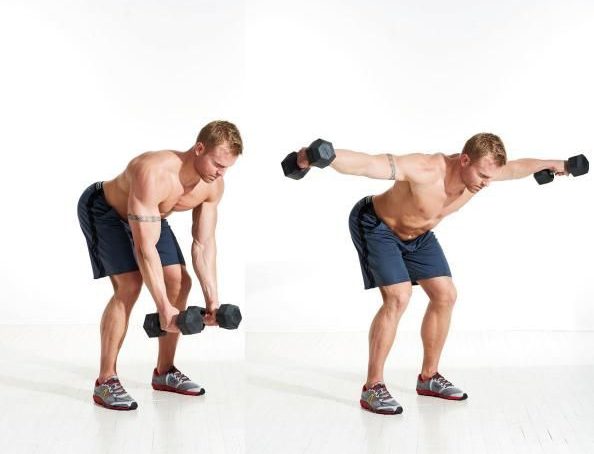 Reverse Fly with Dumbbells for build traps muscles - Exercise 6