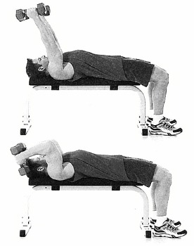 Triceps exercise 1 Lying Triceps Extension