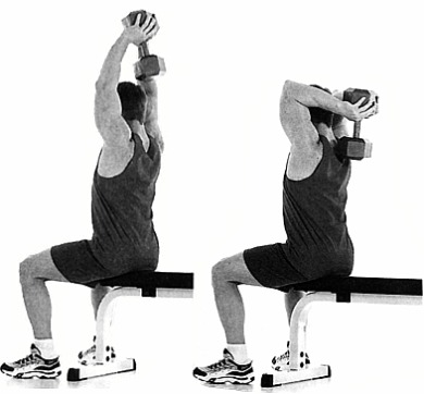 Triceps exercise 4 Overhead Triceps Extension