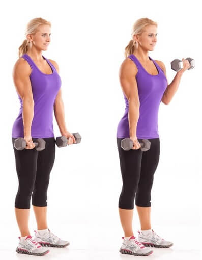 Biceps Exercises For Women Toned Arms Top Fitness Home