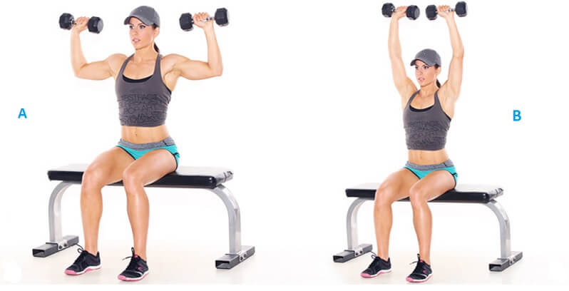 Seated Dumbbell Press workout for women