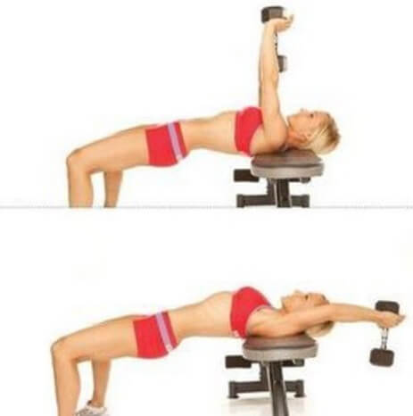 Dumbbell Pullover chest for Women Lats