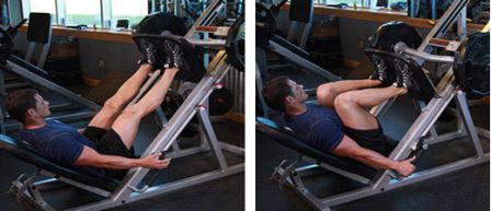 quad exercise 5 - Leg Press