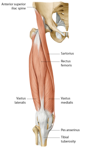 quads structure